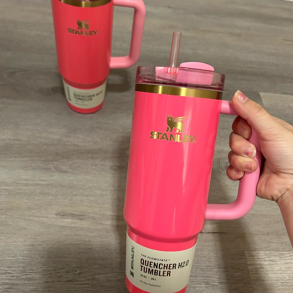 COPY - 30oz Pink Parade Stanley🌸💗
